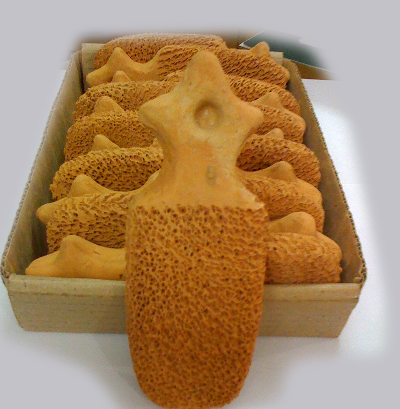 Terracota Foot Scrubber